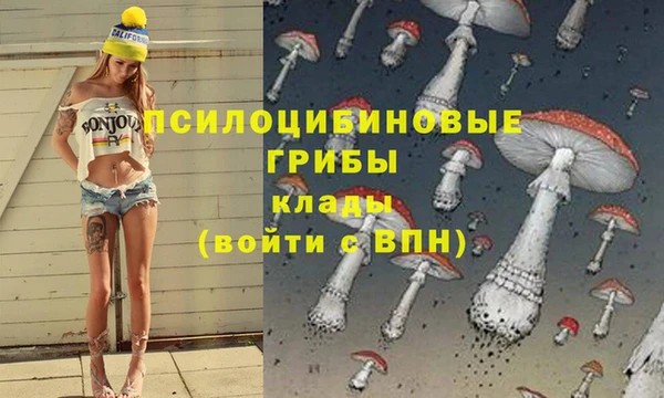 бошки Алексеевка