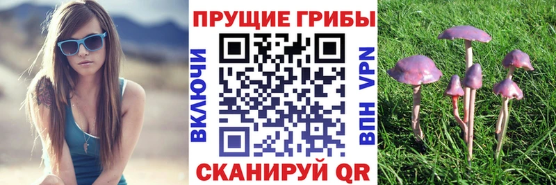 Псилоцибиновые грибы мухоморы  Купить закладки  Ипатово 